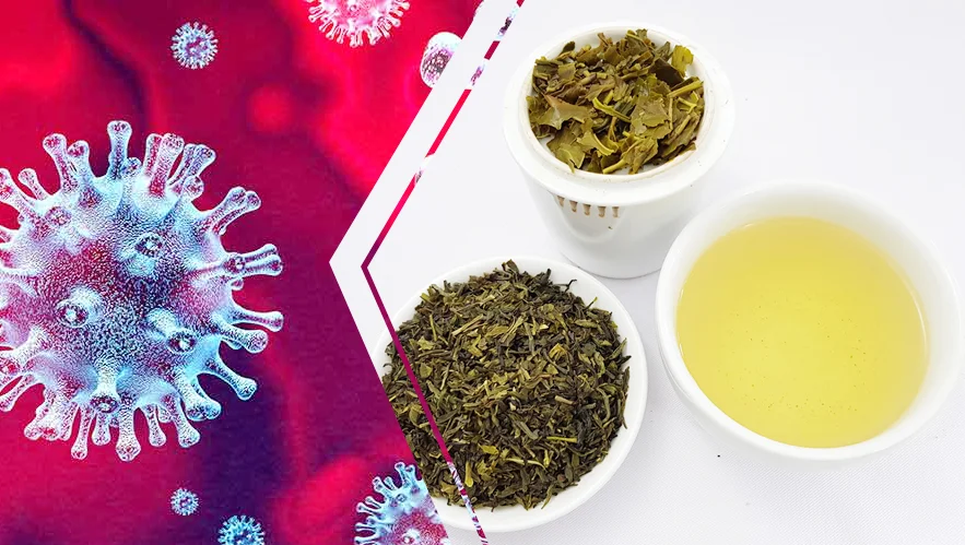 Immune system boosting tea recipes